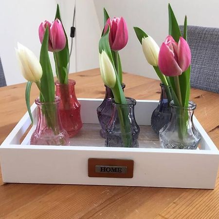 Apartament Bij San & Ka Hauwert Zewnętrze zdjęcie